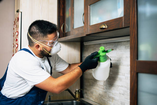 Best Mosquito Control Services  in Pitcairn, PA