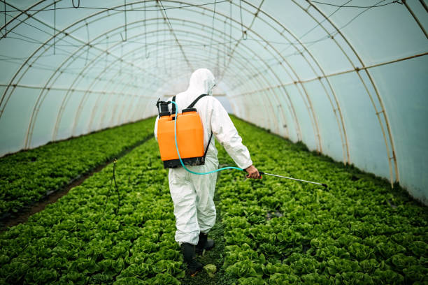 Pest Prevention Services in Pitcairn, PA