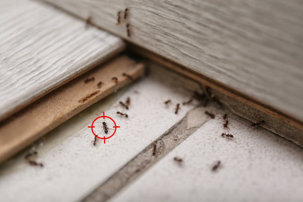 Best Pest Control for Restaurants  in Pitcairn, PA