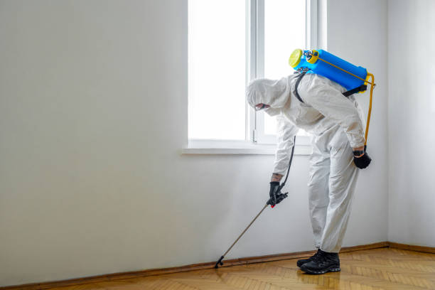 Best Mosquito Control Services  in Pitcairn, PA