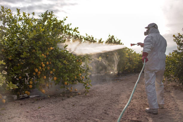 Best Commercial Pest Control Services  in Pitcairn, PA