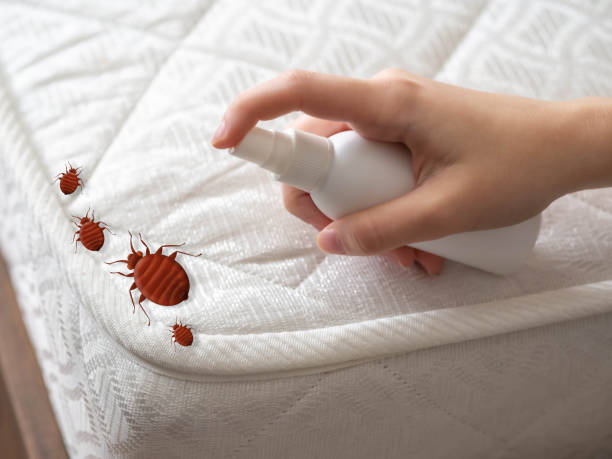 Best Local Pest Control Services  in Pitcairn, PA