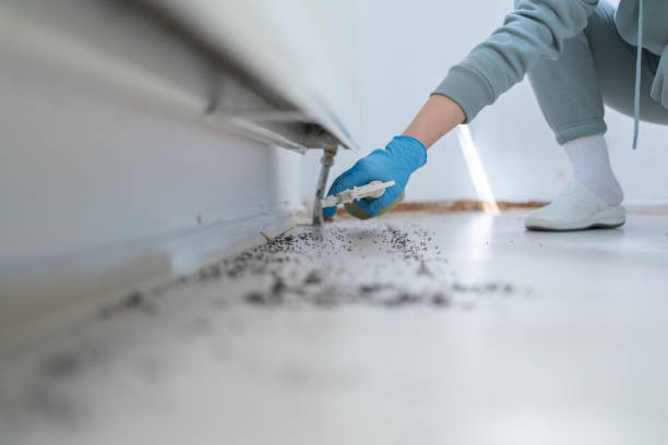Best Best Pest Control Companies  in Pitcairn, PA