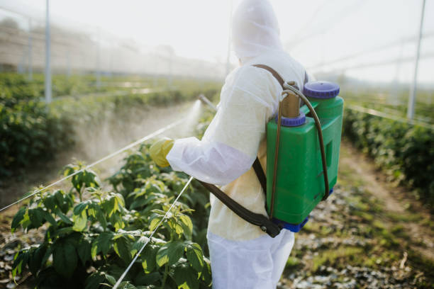 Best Best Pest Control Companies  in Pitcairn, PA